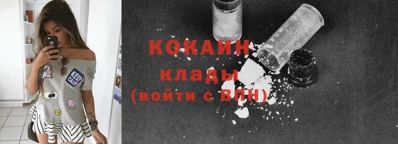 Cocaine FishScale  MEGA маркетплейс  Горно-Алтайск 